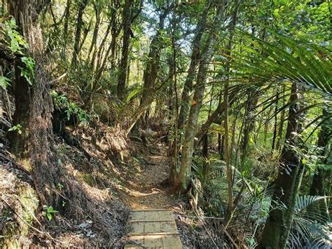 mt karangahake walk nz.